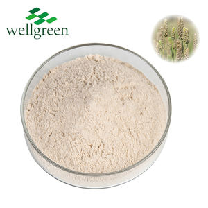Pó Puro Orgânico Fibra Suplementos Cuidados Com A Pele Alimentos Saudáveis Perda De Peso Psyllium Husk Extract - Product Image 1