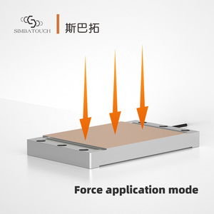 Capteur de force de poussée de précision pour la pesée de matériaux sur convoyeur à bande avec sortie stable - Product Image 2