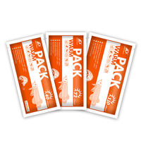 Packs chauffants à charbon actif de classe I JinRong JR-pet pour le transport de reptiles et de poissons, chauffe-plantes vivants pour expéditions sur 72 heures