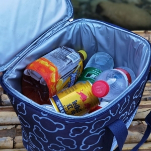 Outdoor Custom 600D Oxford Insulated Can Cooler Lunch <b>Bag</b> with Zipper Closure 10L Capacity Waterproof Portable for Food Storage - Product Image 5