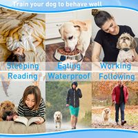 Anti-Bell-Hundehalsband IP65 Wasserdicht 1 Jahr Garantie Wiederaufladbare Lithium-Batterie 20+ Stunden Akkulaufzeit Nylon Bellkontrolle