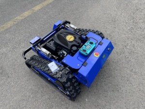 Nuovo Arrivo EPA: Mini Robot Rasaerba Cingolato a Benzina per Uso Domestico, Ideale per il Taglio dell'Erba - Product Image 4