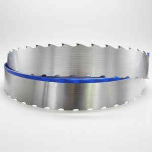 Dehuai Tool Wholesale - Hoja de sierra de cinta TCT horizontal profesional de carburo de tungsteno de alta velocidad para carpintería, personalizada para madera - Product Image 1