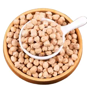 Wholesale Quality Dried Chickpea Kabuli Chick Peas From China