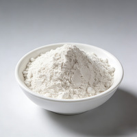 VASHLITE Poudre d'argile bentonite montmorillonite organique de haute pureté pour revêtements