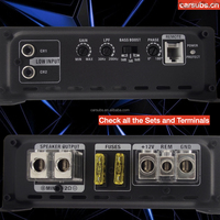 Amplificateur de subwoofer actif pour voiture Mono RMS 500W 2 ohms Bass Amp Peak 1000W 1 ohm Class D Car Amplifier Monoblock