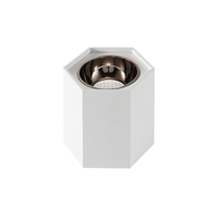 Spot hexagonal COB LED 7W-18W, montage en surface, anti-éblouissement, pour salon, restaurant, couloir, plafonniers