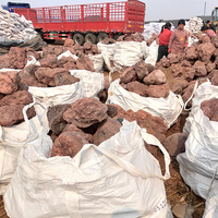 Vente en gros de roches volcaniques en vrac, pierres de cuisson en basalte naturel, pierres de lave noires et rouges calcinées de grande taille pour barbecue en foyer