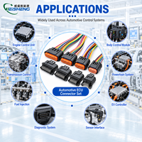 Connecteur automobile étanche multi-contacts OEM personnalisé IP68 pour faisceau de câblage de carte PCB, conforme RoHS