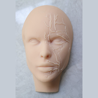 Tête de mannequin d'entraînement aux injections faciales en silicone KyrenMed, entièrement en silicone souple avec des os et des localisations des vaisseaux sanguins sur la moitié du visage