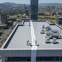 Revêtement imperméable acrylique élastomère pour toiture en béton extérieur, peinture à base d'eau résistante aux UV