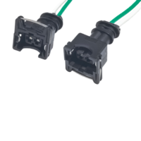 Produsen Kabel Harness Sensor Injektor Bahan Bakar Konektor EV1 2 Pin Otomatis Grosir