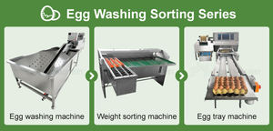 2025 5400PCS/Hour Automatic Egg Grading Sorting Equipment Large Capacity Chicken Egg Sorter <b>Machine</b> by Weight Grader for Sale - Product Image 3