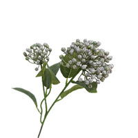 Kunstmatige realistische hortensia fruit verse decoratieve ornament Europese stijl bloemstuk woondecoratie fotografie rekwisiet