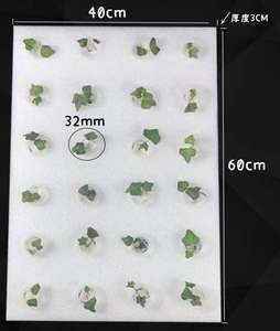 Plataformas Flotantes de Espuma de Grado Alimenticio para Cultivo Hidropónico Comercial de Lechuga DWC - Product Image 2