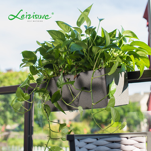 Trang Trí Macetas Para Plantas Mua Chậu Hoa Bán Buôn - Product Image 5