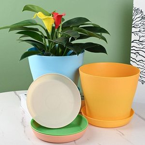 Pot de pépinière en plastique coloré, forme classique, pour plantes, fleurs et succulentes, idéal pour les centres commerciaux – Prix usine - Product Image 3