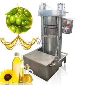 OEM Oil Presser Hot and Cold Pressing High Extractor Presser Sunflower Electric Press Machine Squeezer