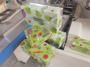 Automatic Box-Drawing Production Line Facial <strong>Tissue</strong> Folding and Cutting Machine PLC-Gear-Engine Core Components - Product Image 6