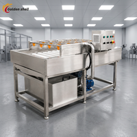 Industriële automatische fruit- en groentewasmachine voor voedselverwerking