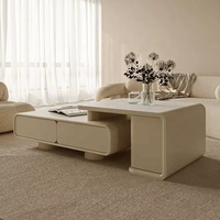 Table basse moderne et meuble TV pour salon, blanc, simple, multifonctionnel, mobilier de maison en pierre