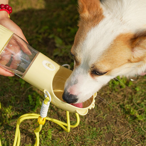 Portable Pet Water Bottle For Dogs Slingback Style Outdoor Use - Product Image 1