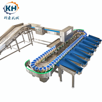 Kehong KHLH-6J Fruit- en groentegraader met sensor & PLC, eenvoudig te bedienen, 220V 0.75kW