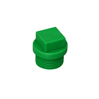 Raccordement de tuyau en plastique PPR 1/2 "3/4" vert PN25 Plug Raccords de tuyau Connecteur Raccords de tuyau PPR