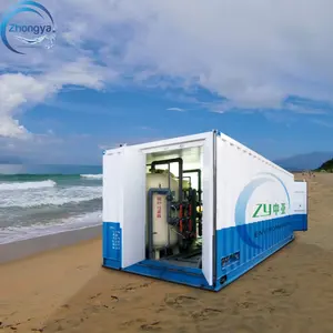 Customizable Transportable Container SWRO Seawater Desalination Systems RO Membrane Brackish Water Plant Manufacturing