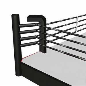 Ring de <span class=keywords><strong>boxe</strong></span> pliable WBC Standard 20ftX20ft taille humaine avec couleurs personnalisées - Product Image 1