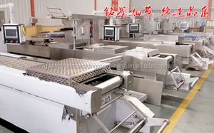 DZDL-320 Máy Đóng Gói Chân Không Tự Động Hoàn Toàn Tự Động - Product Image 6