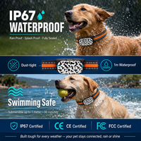 Rastreador GPS Beidou 4G G61 para Mascotas, Mini, IP67 Impermeable, Monitoreo en Tiempo Real por Aplicación, Actividad de la Mascota, Geo-cerca, Reproducción, Sin Suscripción