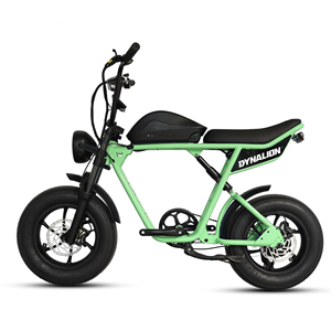 48V 1000W Power China Cheap Full Suspension Retro Vintage <strong>E</strong> <strong>Bike</strong> Ebike Dirt Mountain Fat Tire Bicycle Electric <strong>Bike</strong> - Product Image 3
