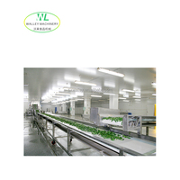 Hotsale Hoge Kwaliteit SUS304 RVS Champignonproductie-apparatuur Automatische Fruit- en Groente IQF Vrieslijn Motor