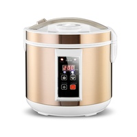 Machine de Fermentation Automatique Standard Européenne 110V-240v pour Ail Noir Capacité 5L Machine à Enzyme à Usage Domestique 1 An