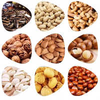 Torréfacteur électrique à gaz personnalisé pour arachide cacao noix café grains épices torréfaction machine à cuire mini séchoir à grains de maïs