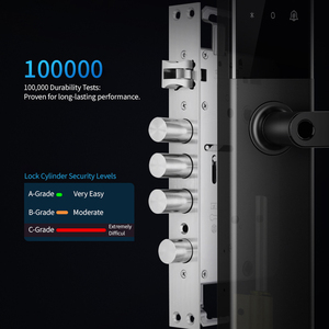 Topteq Giảm Giá Giá P60 Vấn đề Cửa Kết Hợp Mở Khóa Dual-Mang Xử Lý Thông Minh Cerradura Intelligente Cho Nhà Căn Hộ - Product Image 2