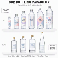 Machine de rinçage, de remplissage et de bouchage automatique personnalisée pour bouteilles d'eau potable pure minérale en PET et en verre