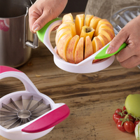 16-bladige Roestvrijstalen Appelsnijder Snijmachine Met Abs Anti-Slip Handvat Fruit-En Groentemessnijmachines