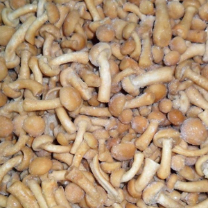 Detan Frozen <span class=keywords><strong>Nameko</strong></span> para compradores de hongos - Product Image 3