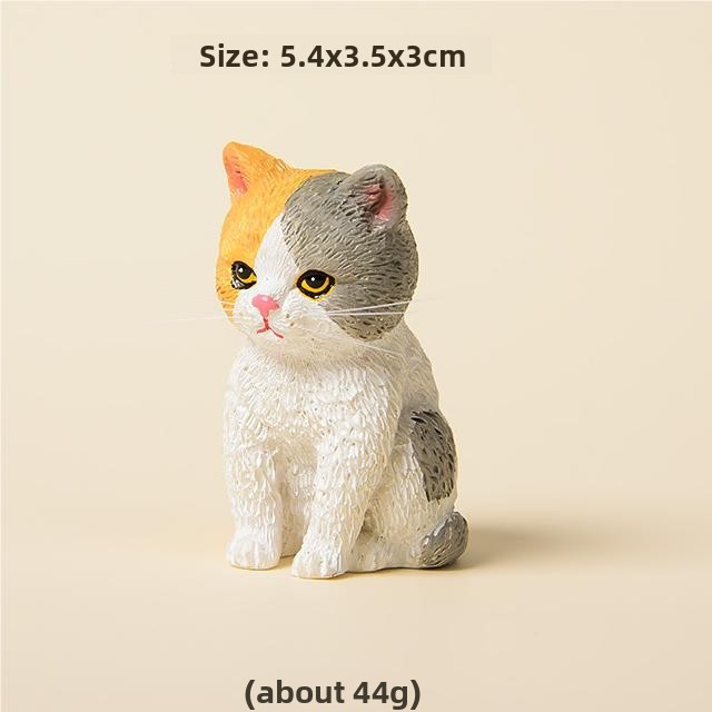 4-อื่นๆ