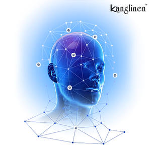 Capsules Neuro <span class=keywords><strong>Brain</strong></span> OEM pour la mémoire et la concentration, complément alimentaire nootropique pour le soutien du cerveau - Product Image 5