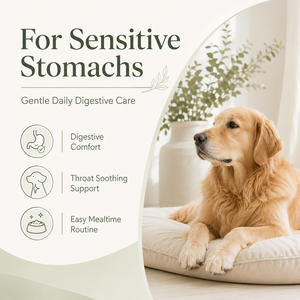 Hochwirksames Verdauungsförderndes Pulver für Hunde - Probiotische & Ballaststoffreiche Formel - Großhandel Haustier-Vitalitäts-Wellness-Ergänzung 2oz - Product Image 5
