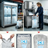 Sacs à glaçons jetables personnalisés en PE 8BL 10BL 20BL avec cordon de serrage, transparents, pour congélateur, emballage de glace