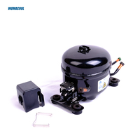 Compresseur de Réfrigérateur B35C Hina Compatible LG, Gaz R600a, Puissance 1/10HP 1/8HP 1/6HP 1/5HP 1/4HP 1/3HP 1/2HP, en Stock