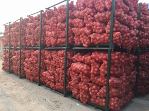 Hành Tươi <span class=keywords><strong>Myanmar</strong></span> Giá Hành Tây Đỏ Mỗi Tấn Để Xuất Khẩu - Product Image 6
