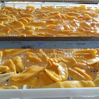 Ligne de production de fruits séchés : Laveuse et sécheuse automatiques de fruits, trancheuse pour ananas, citron, mangue, pomme, machine de séchage