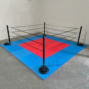 FightBro FPR <span class=keywords><strong>Ring</strong></span> <span class=keywords><strong>de</strong></span> <span class=keywords><strong>boxe</strong></span> portable <span class=keywords><strong>de</strong></span> petite taille - Product Image 1