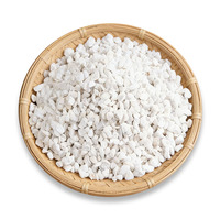 Perlite de haute pureté non toxique pour substrat de culture de semis – Remise sur les commandes importantes pour les fermes commerciales de semis et les fournisseurs de plantes fleurs