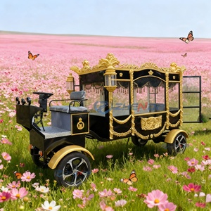 New Style Beautiful Electric Funeral Hearse Car Coffin Hearse Wagon Luxury Hearse Buggy Cart on Sale - Product Image 1